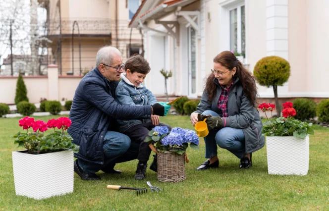 From standard garden to brilliant outdoor sanctuary: three creative garden improvement ideas