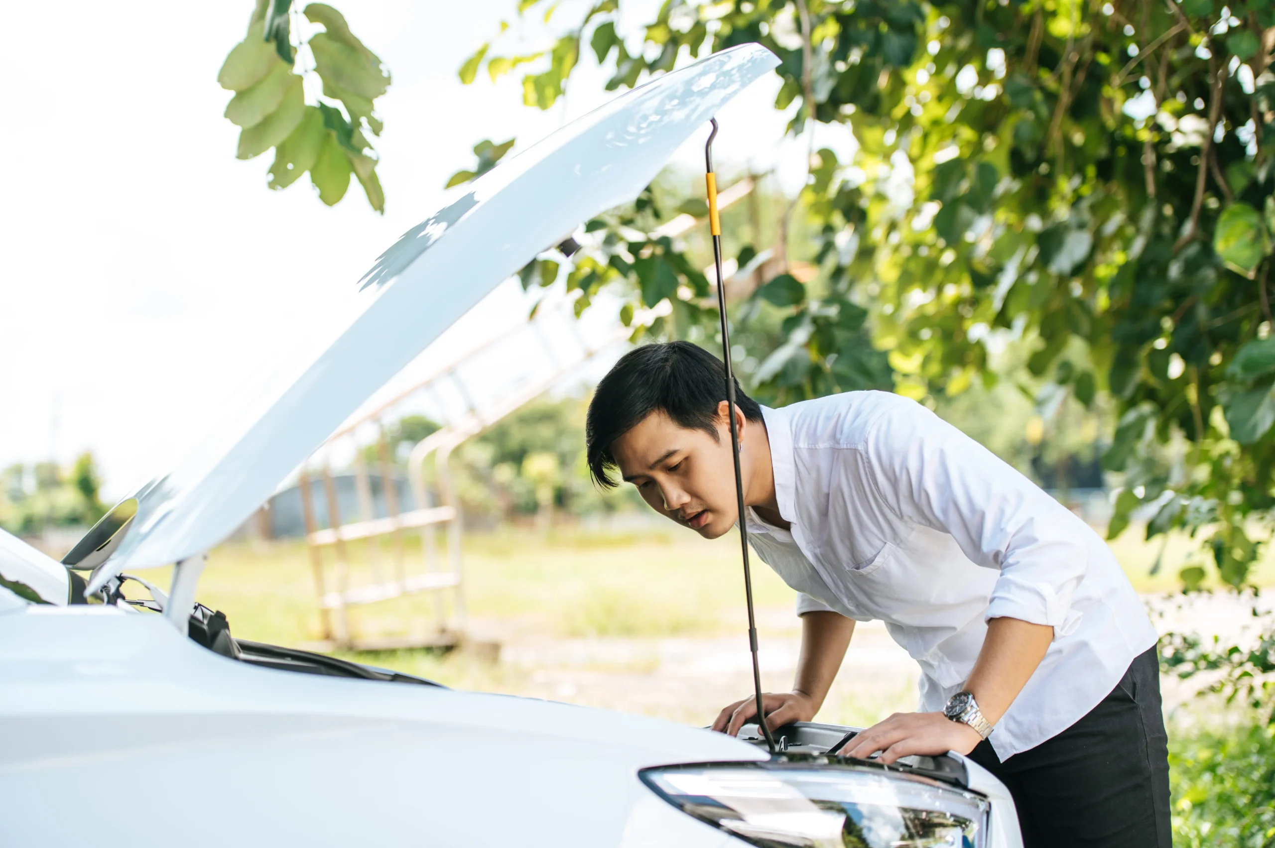 Lotus MOT Services at Bell & Colvill: Keeping Performance at Its Peak