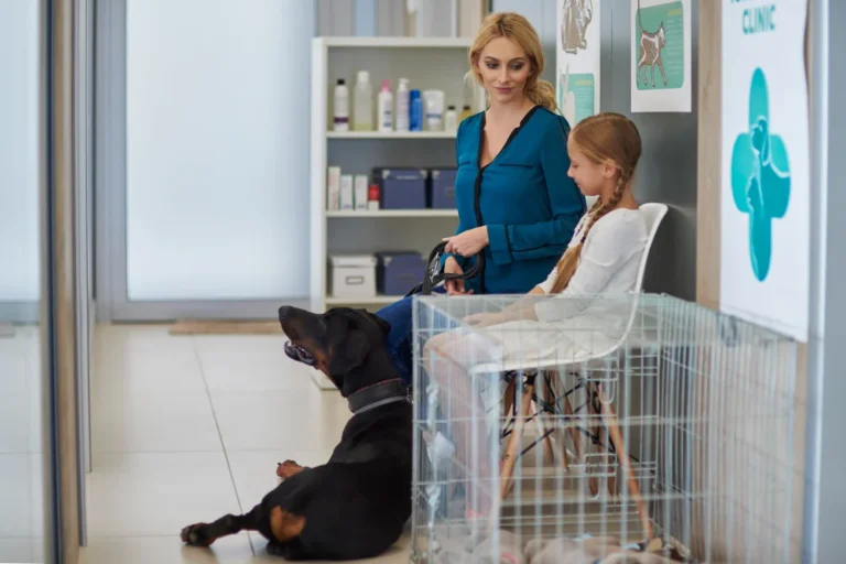 dog society edinburgh