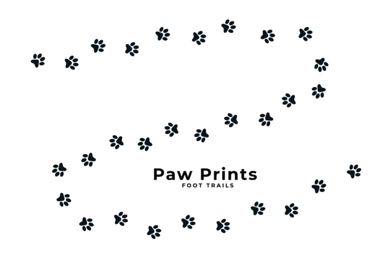canine paw prints