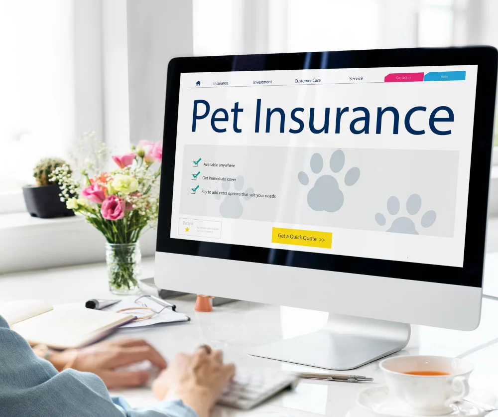 mywebinsurance.com pet insurance