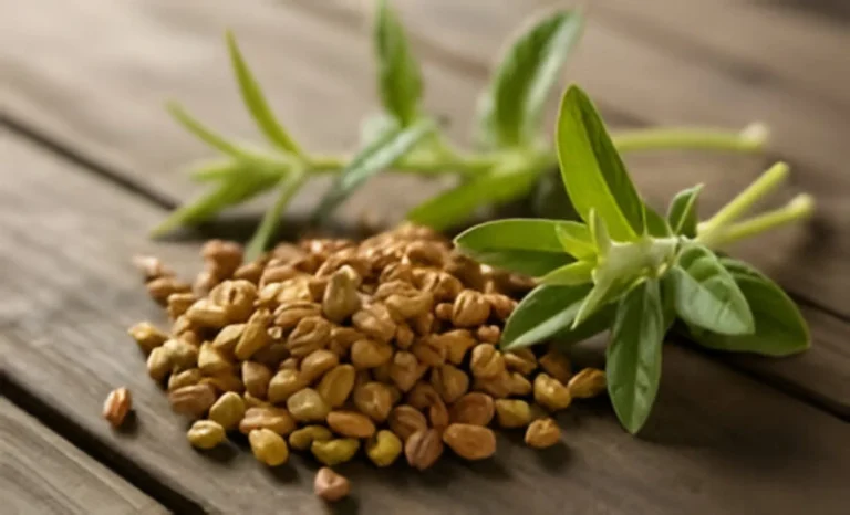 Foenegriek Benefits, Uses, Nutrition & Side Effects Explained