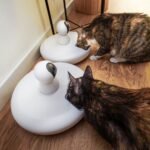 The Rise of PetTech: Smarter Solutions for Modern Pet Owners