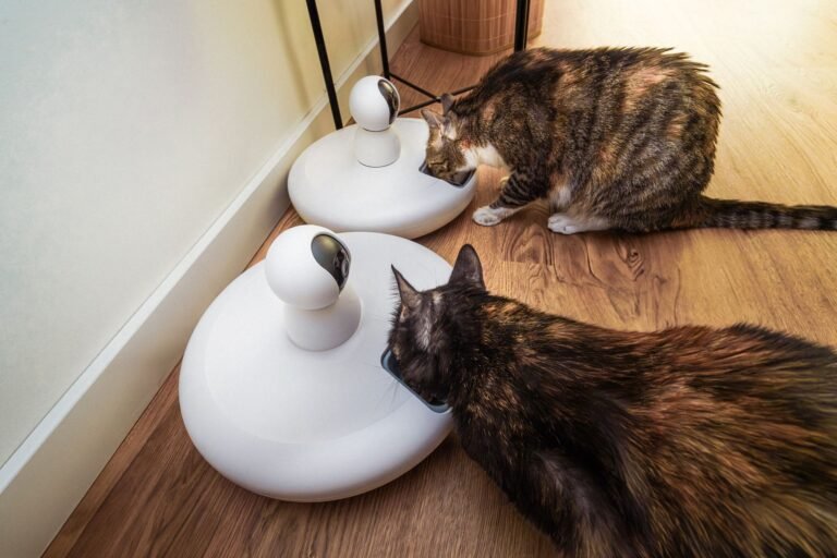 The Rise of PetTech: Smarter Solutions for Modern Pet Owners